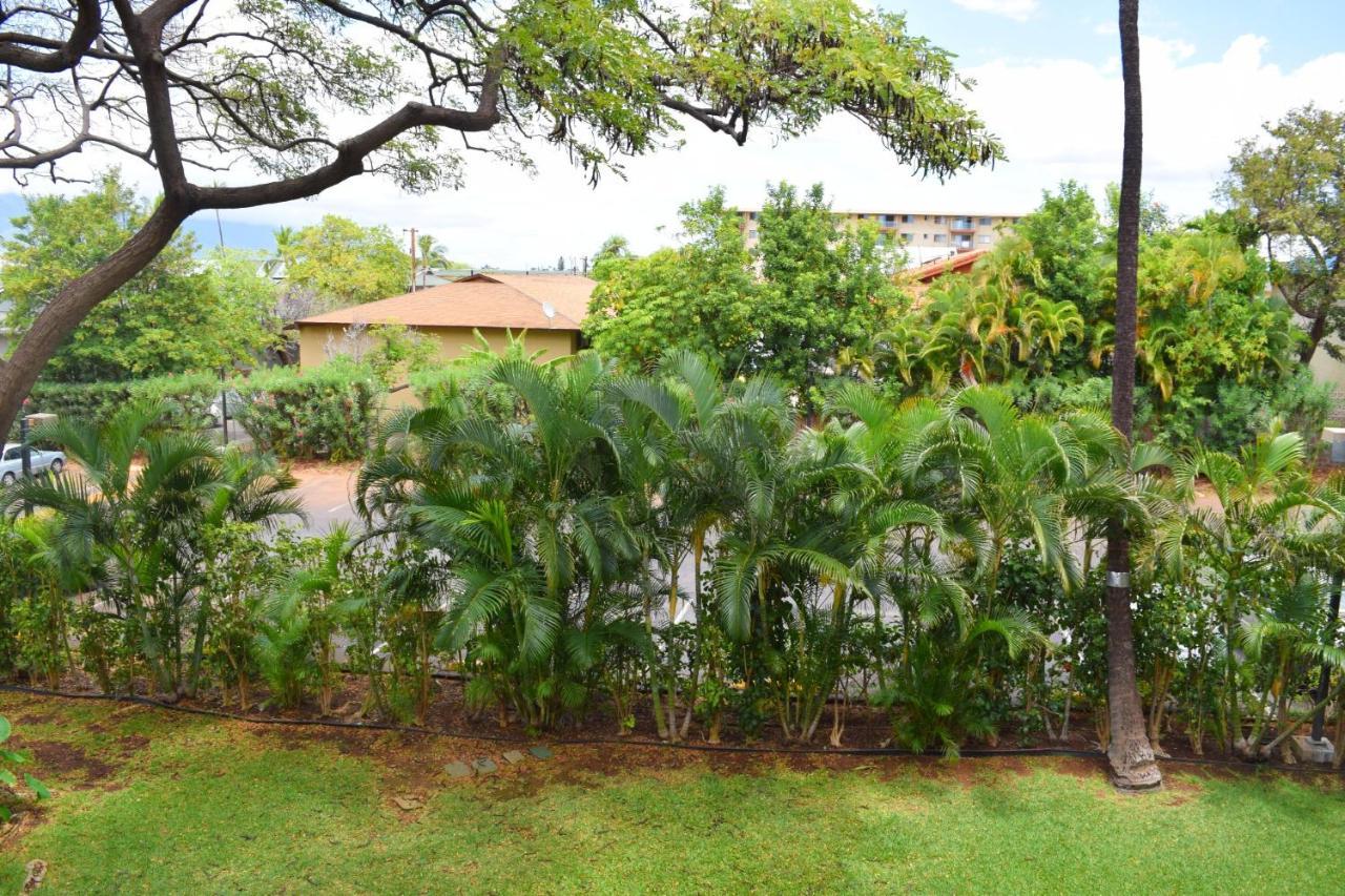 Beautiful Private Condo Walking Distance To Beach Mv2321 Kihei Eksteriør billede